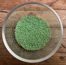 Load image into Gallery viewer, Seed Bead Jars - Size 11/0