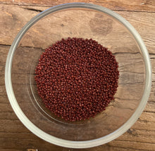 Load image into Gallery viewer, Seed Bead Jars - Size 11/0